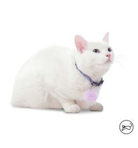 Collar Ajustable Meow