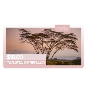TARJETA DE REGALO DIGITAL $ 10